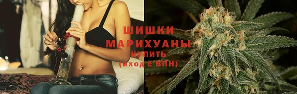 сатива Абинск
