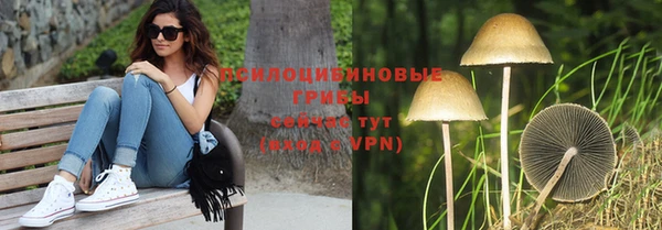 прущий лед Абаза
